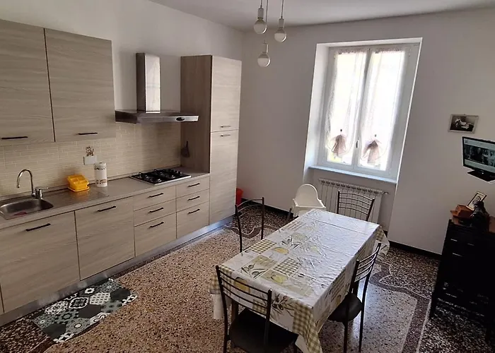 La Casa Dei Gatti Matti