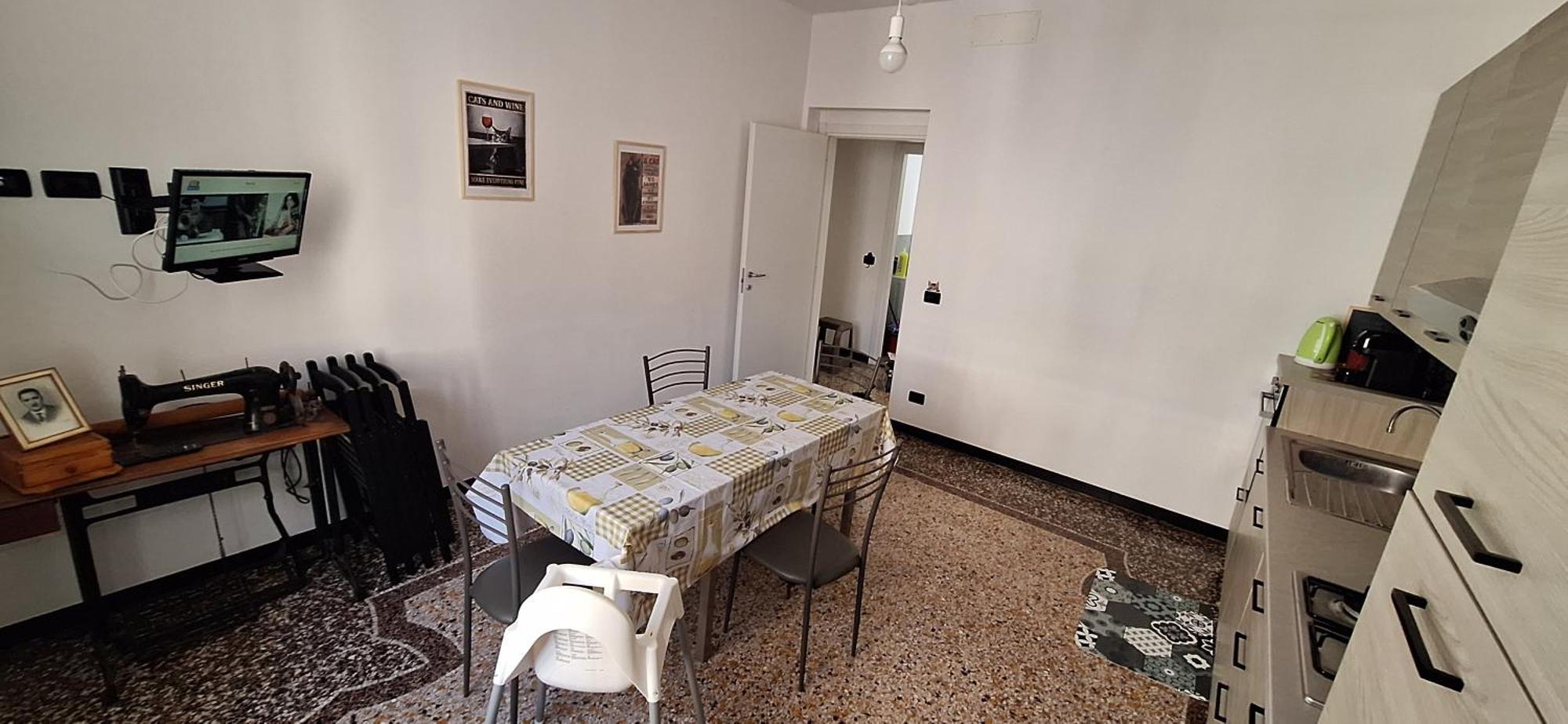 La Casa Dei Gatti Matti